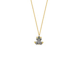 NANO FROG NECKLACE