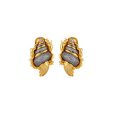 SHELL EARRINGS
