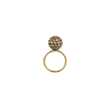 THE PRINCE'S FAVORITE RING