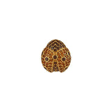 LADYBUG LAPEL PIN